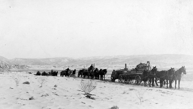 Fossils being hauled to the Uintah Railway at Dragon, UT