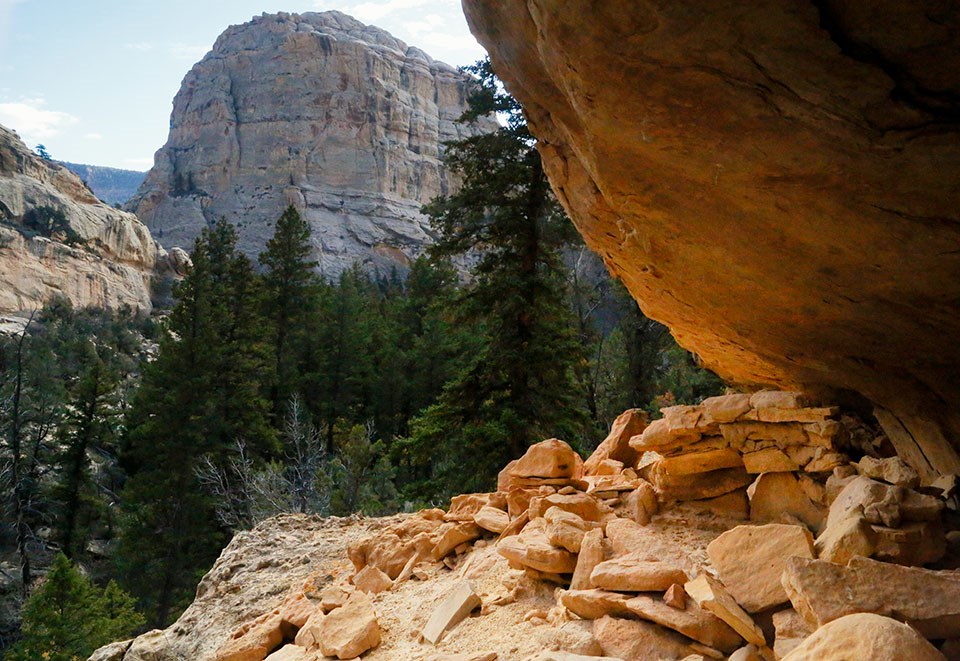 A small rocky ledge with an assortment of yellowish-tan rocks. Some are stacked. In the background are tall, green conifer trees and a rocky peak.