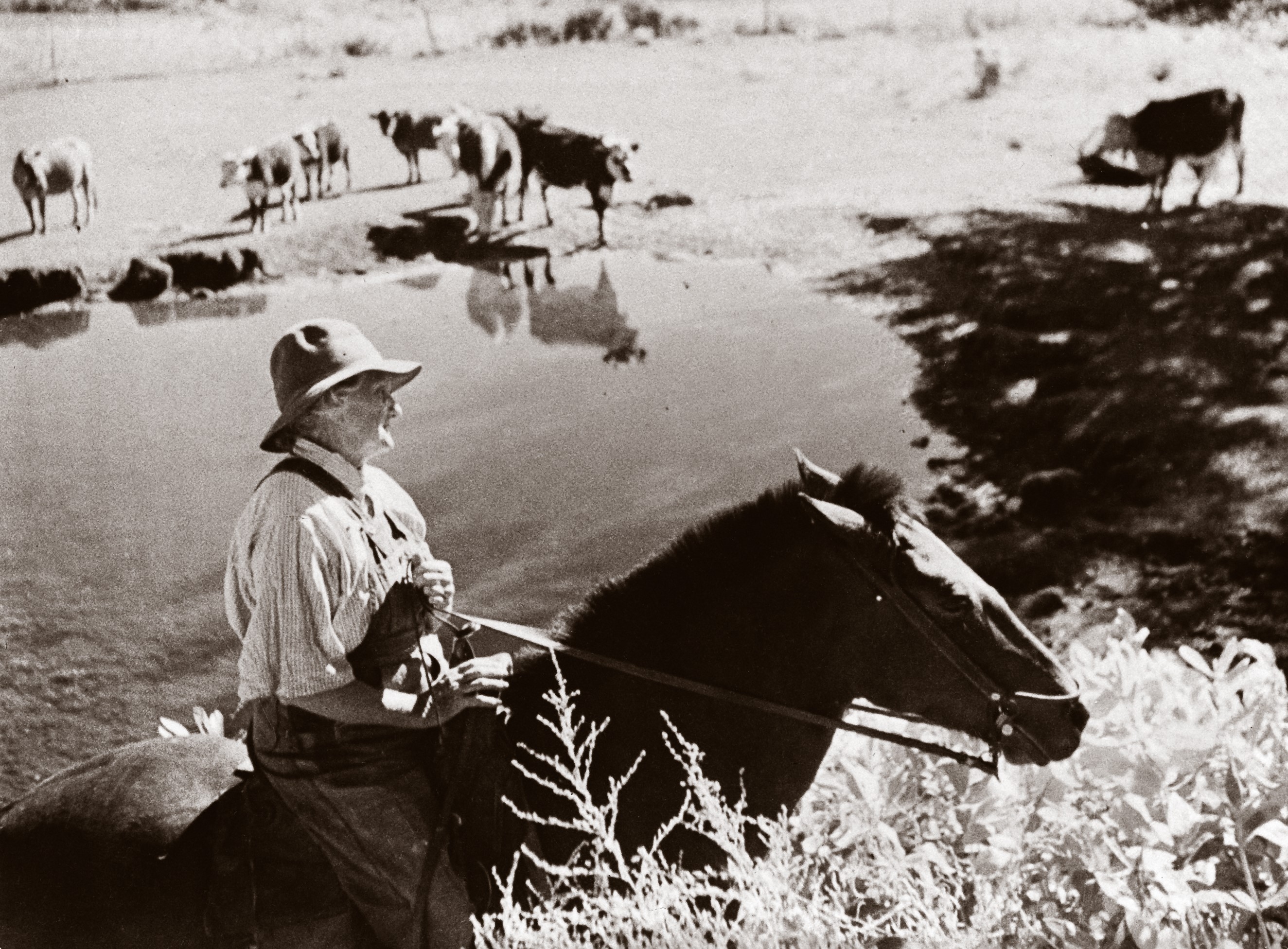house on the hill ／ Parent Pants horse Josie Bassett Morris - Dinosaur National Monument (U.S. National