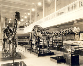 Earl Douglass - Dinosaur National Monument (U.S. National Park Service)