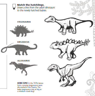 Page from prereader Junior Ranger book showing baby dinosaurs