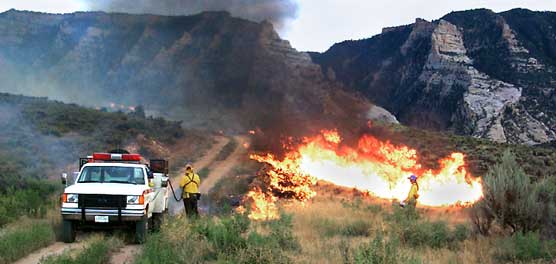 fire fighters monitor the fire used to create a black line fire fighters monitor the fire used to create a black line