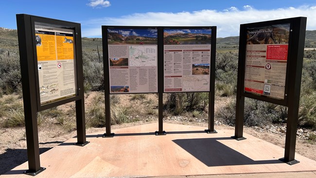 Photo of upright exhibit and bulletin board cases with photos and text.