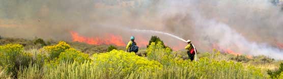 fire fighters spray water on a brush fire fire fighters spray water on a brush fire