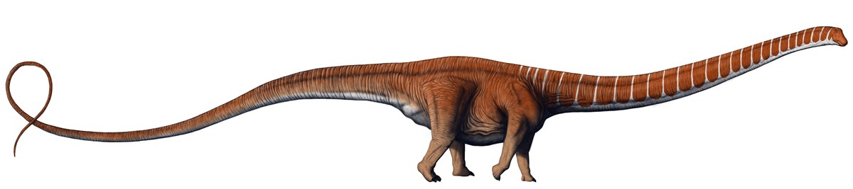 Artwork depicting a Barosaurus dinosaur