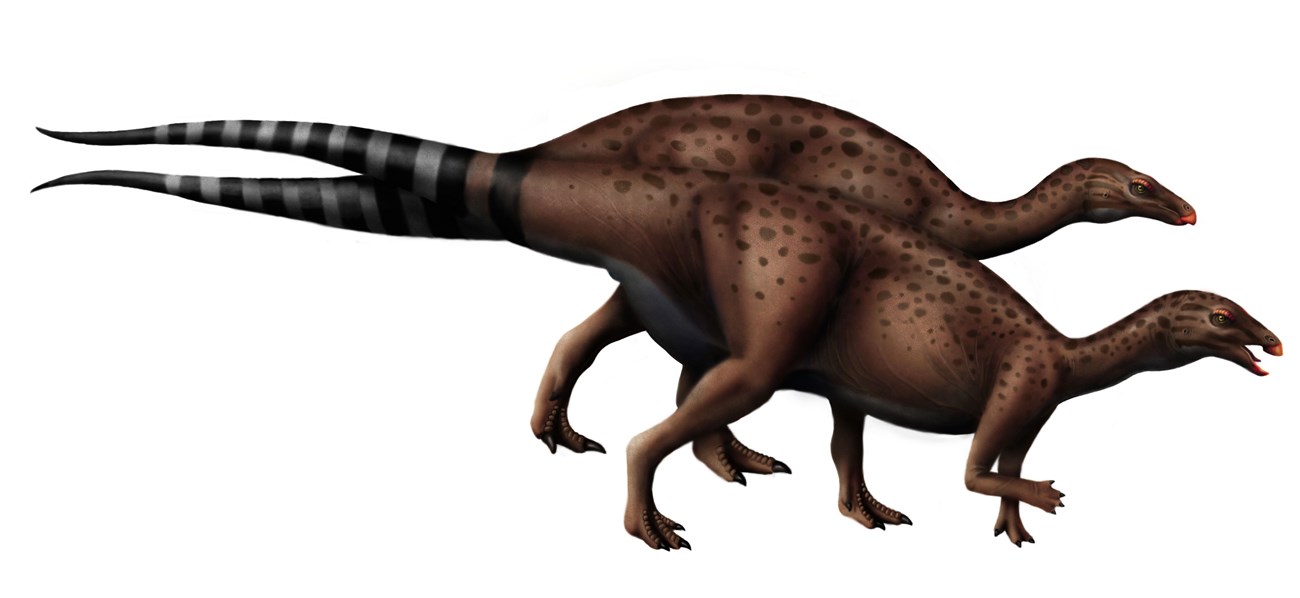 Artwork depicting a Camptosaurus dinosaurs