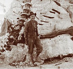 Paleontologist Earl Douglass