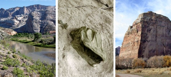 The Green River and Split Mountain (left), Camarasaurus skull in the Quarry Exhibit Hall (center), Steamboat Rock at Echo Park (right)