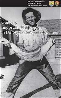 Click here to download an Adobe pdf of the Guide to Important Fish Species.