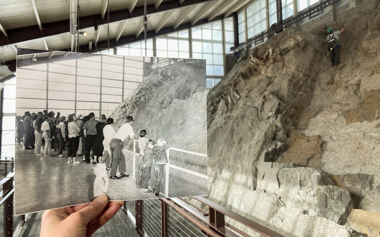 A hand holds up a black and white photo of visitors inside the quarry exhibit hall. The background is in color with a person climbing the wall of bones.