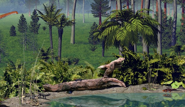 Artist's depiction of the Morrison habitat, featuring numerous ferns, cycads, and tall conifer trees.