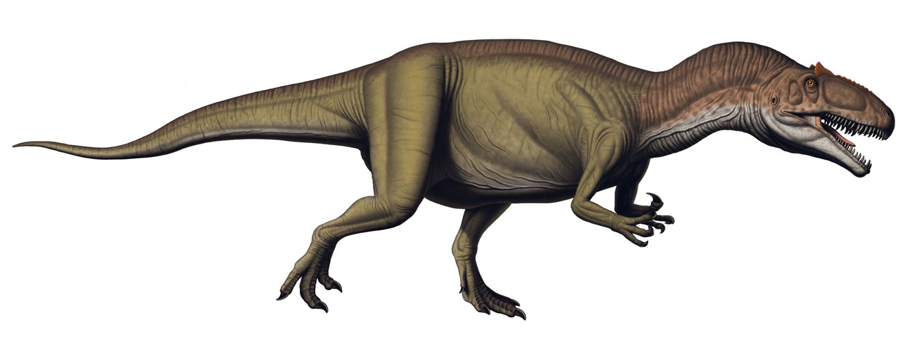 Artwork depicting an allosuarus fragilis dinosaur