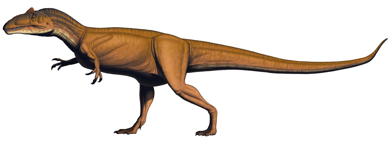Artwork depicting an allosuarus jimmadseni dinosaur