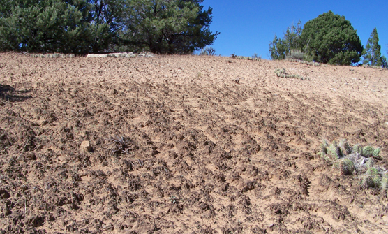 Biological Soil Crusts Dinosaur National Monument U S