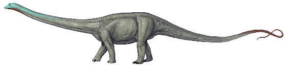 Resultado de imagen para Diplodocus (Diplodocus Longus)