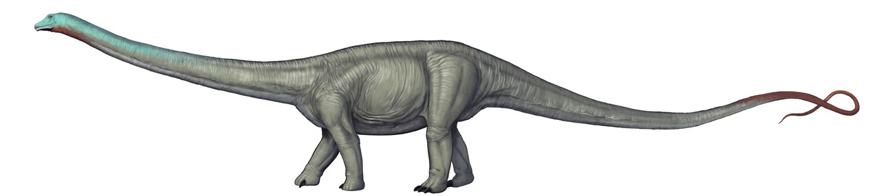 Artwork depicting a Diplodocus dinosaur