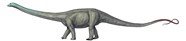 Diplodocus Longus Dinosaur National Monument U S National Park Service 