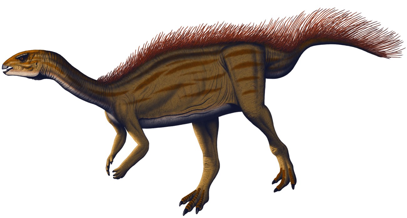 Artwork depicting a dryosaurus dinosaur