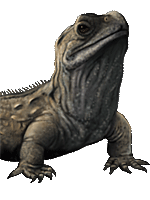 Artist rendition of Opisthias.