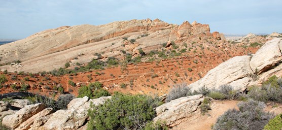 Tilted rock layers along the Sound of Silence Trail.