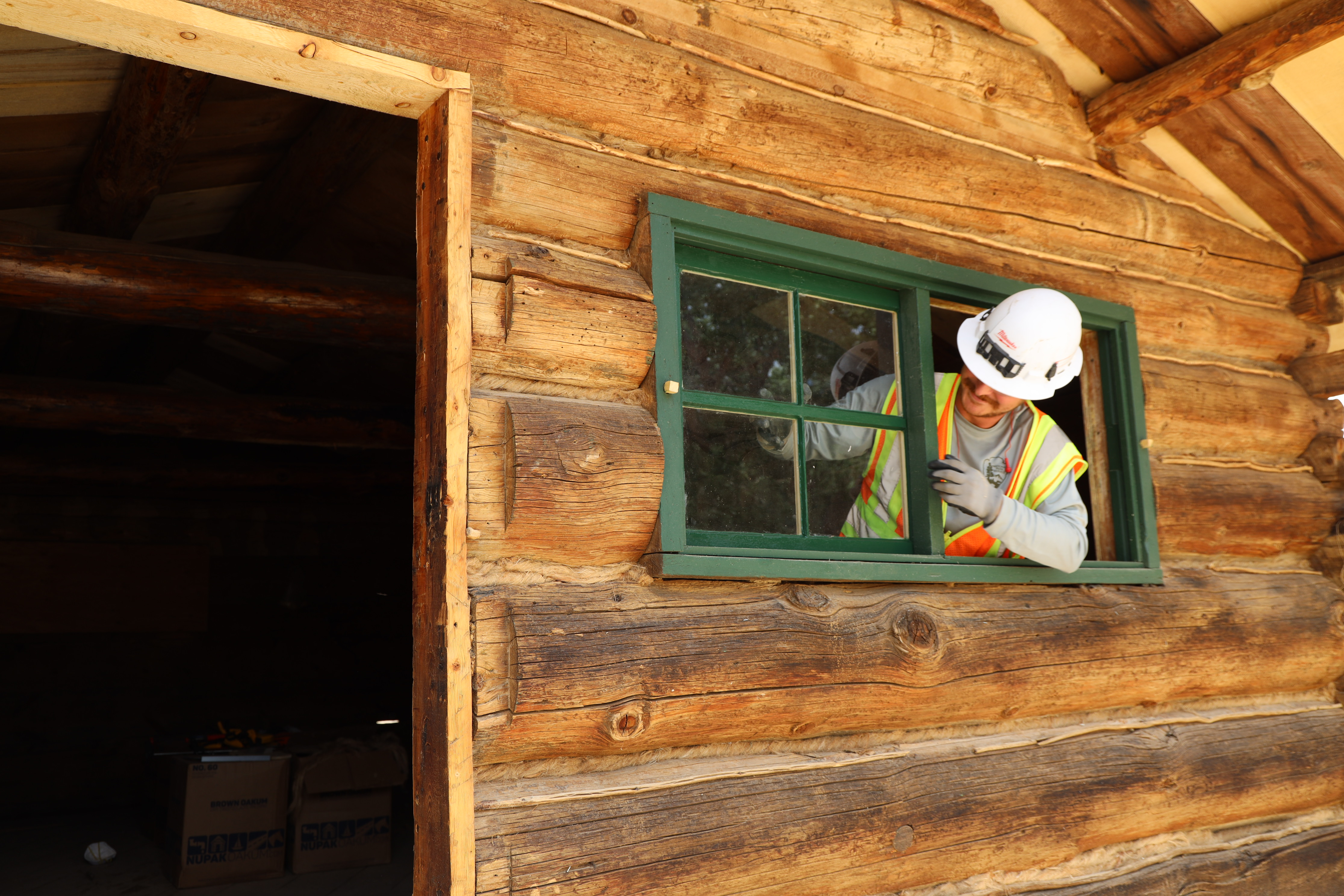 Man installs green window in a log cabin