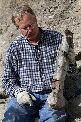 Dr. Brooks Britt holds the fossil humerus that was removed from the Fossil Discovery Trail.