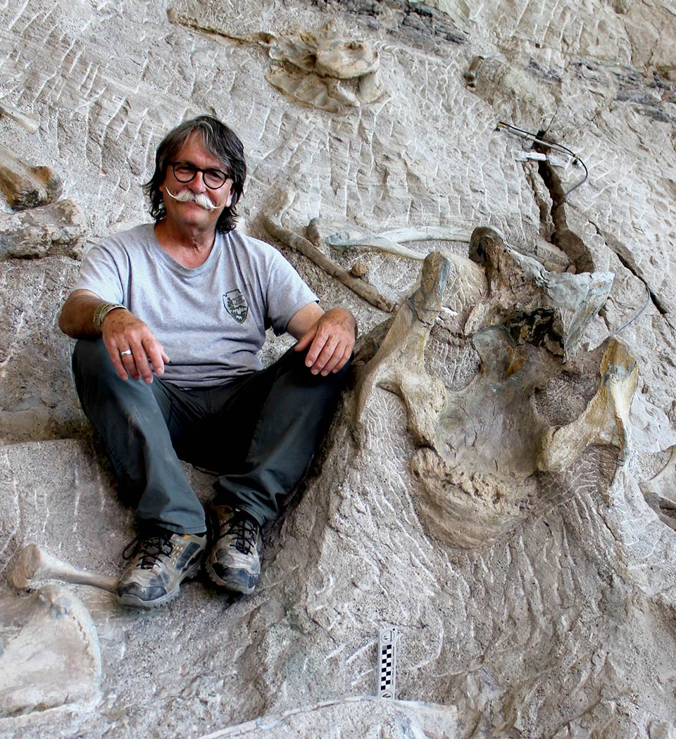 Man sitting on rock beside large dinosaur bone