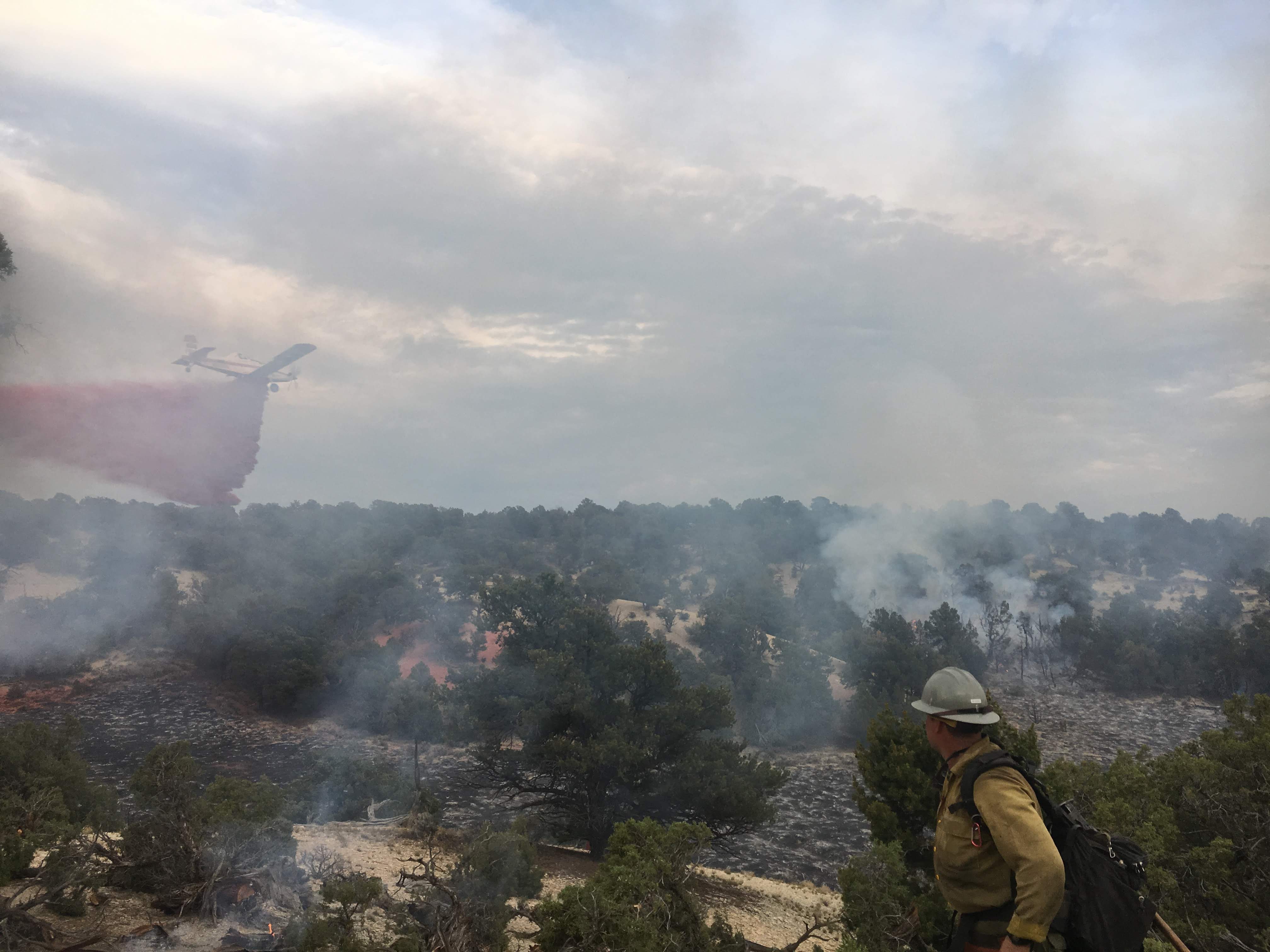 A man in yellow shirt and helmet looks across n area of trees where smoke rises above burning ground. A small plane flies in the background dropping a red liquid.