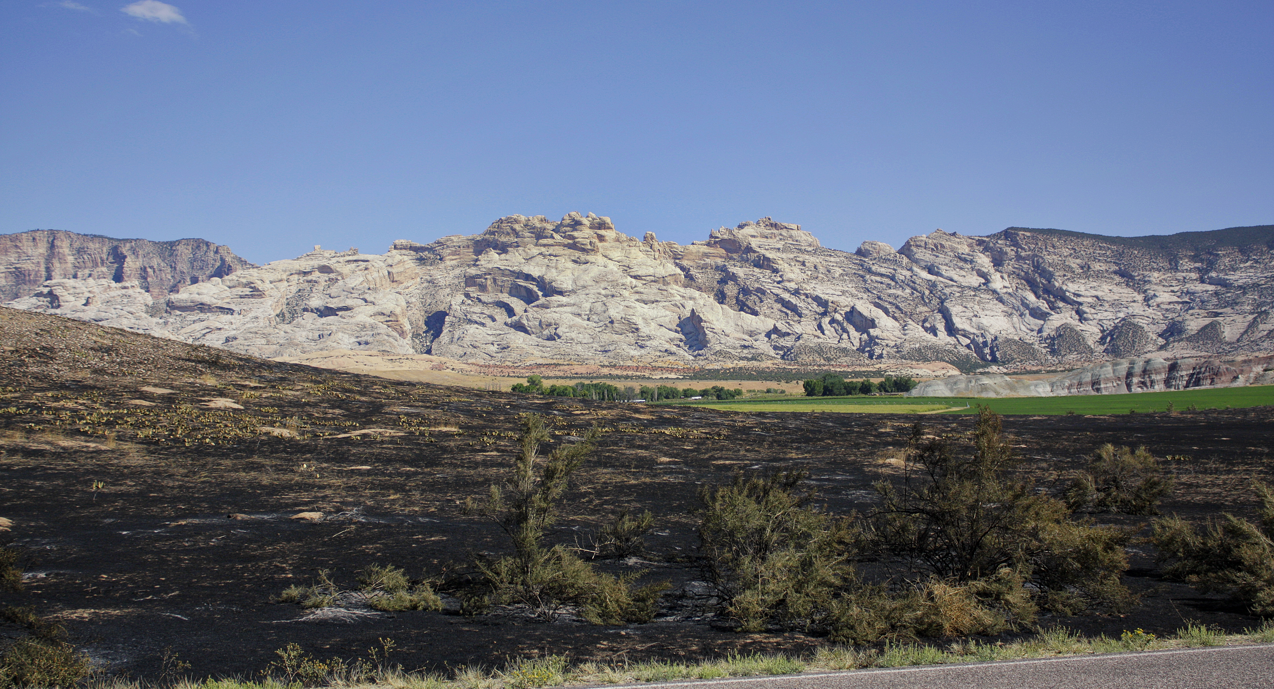 Burned area on Green Fire