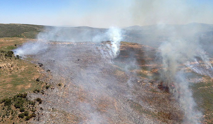 Aerial image of the "Wild" fire