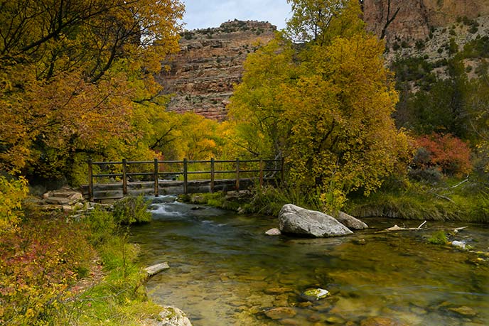 Jones Hole Creek in the fall