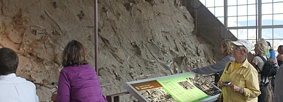 dinosaur national monument fossil wall