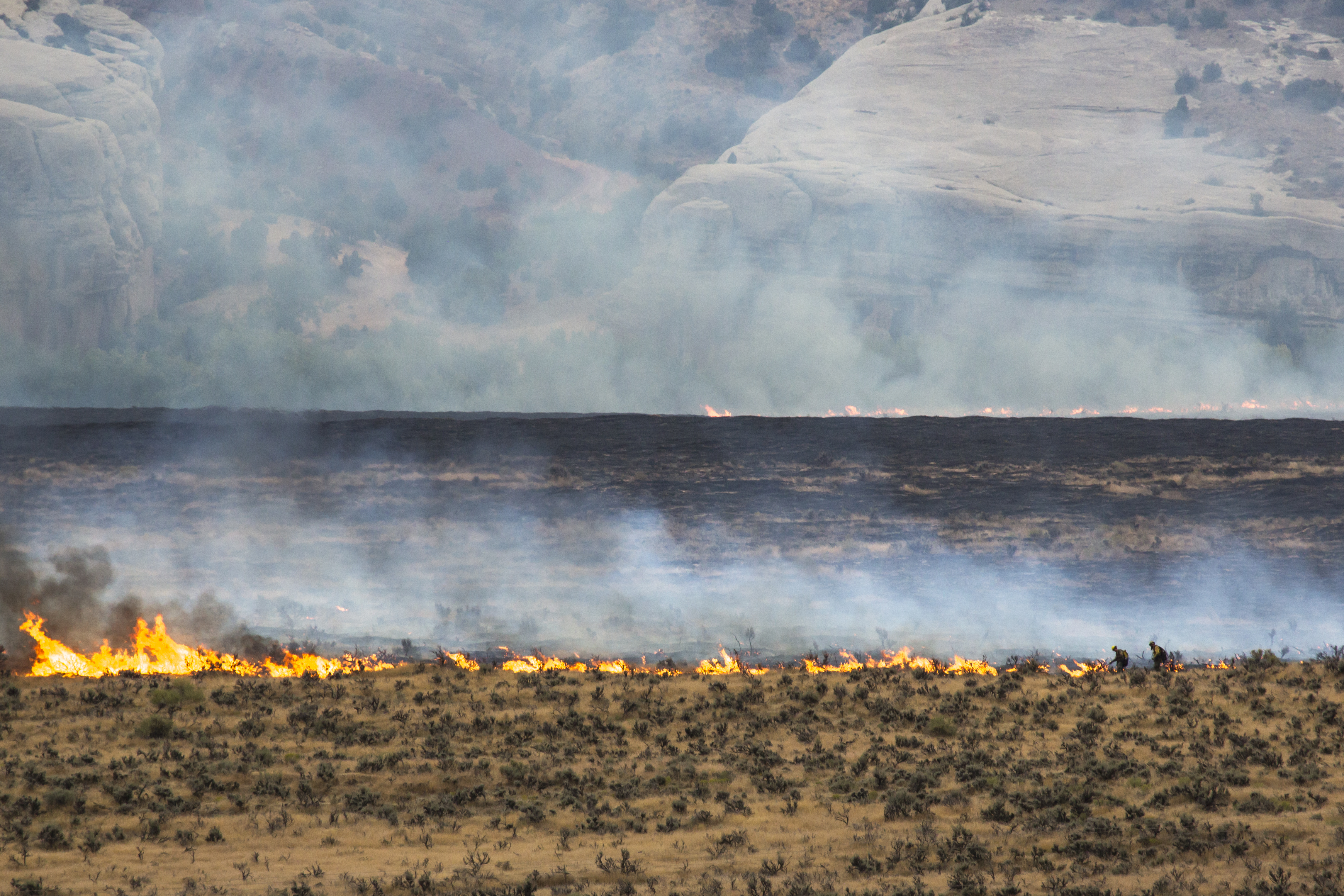 fire and firefighters