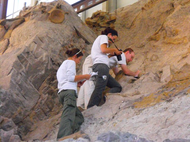 Paleontologists 