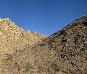 Desert shrubland near Swelter Shelter on the Cub Creek Road. 