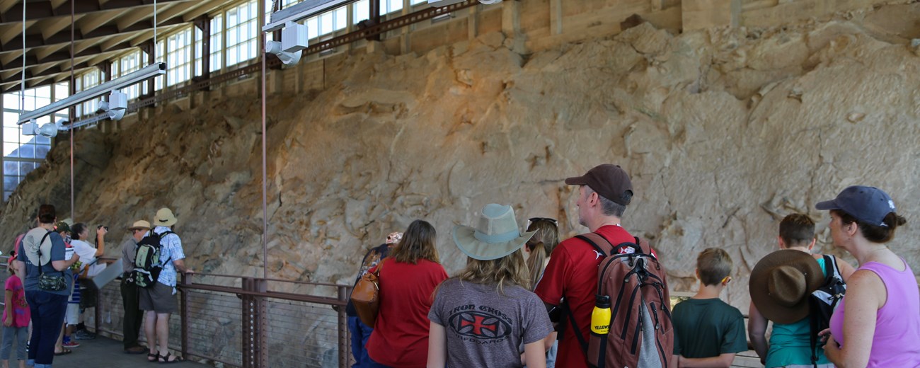 A group of people looks at a rock wall.