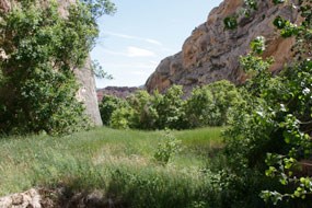 Sanstone canyon walls, green grasses, and trees along trail.