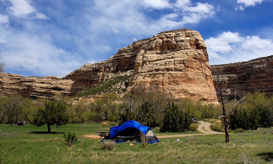 Echo Park Campground - Dinosaur National Monument (U.S. National Park  Service)