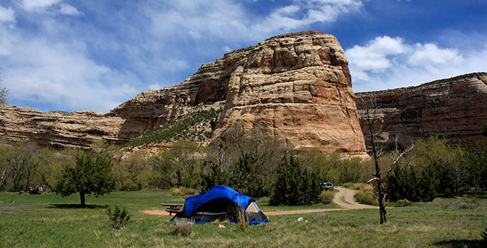 Tent in Echo Park campsite Tent in Echo Park campsite