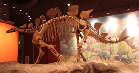 Exhibit in the Utah Field House of Natural History State Park Museum