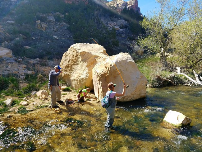 A family of four fly fishes in the Jones Hole Creek.