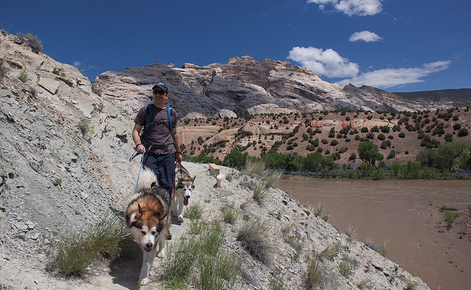 Man hiking with dogs on leash and mountains in background.