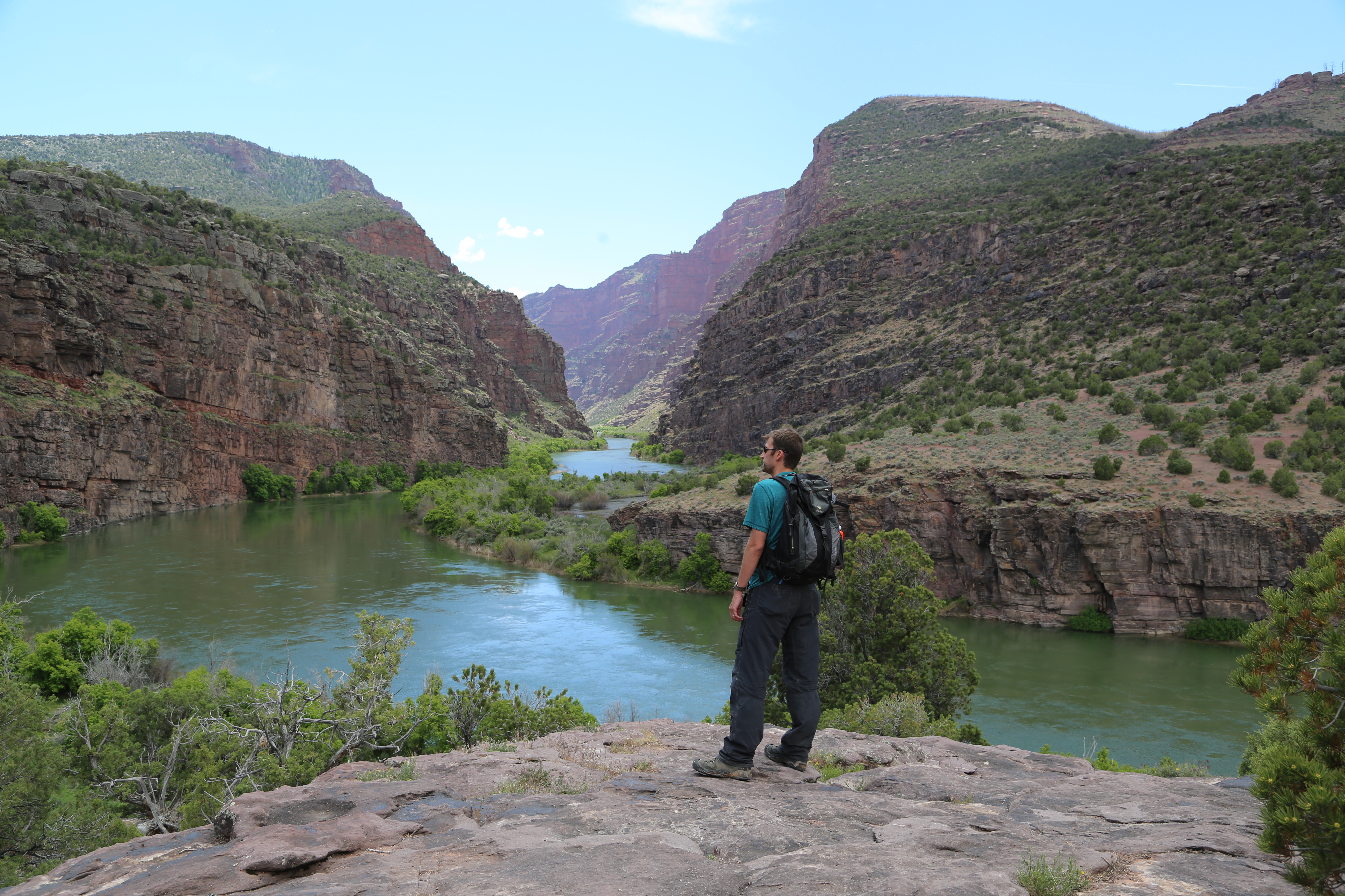 A man stands on purplish rock looking into a canyon