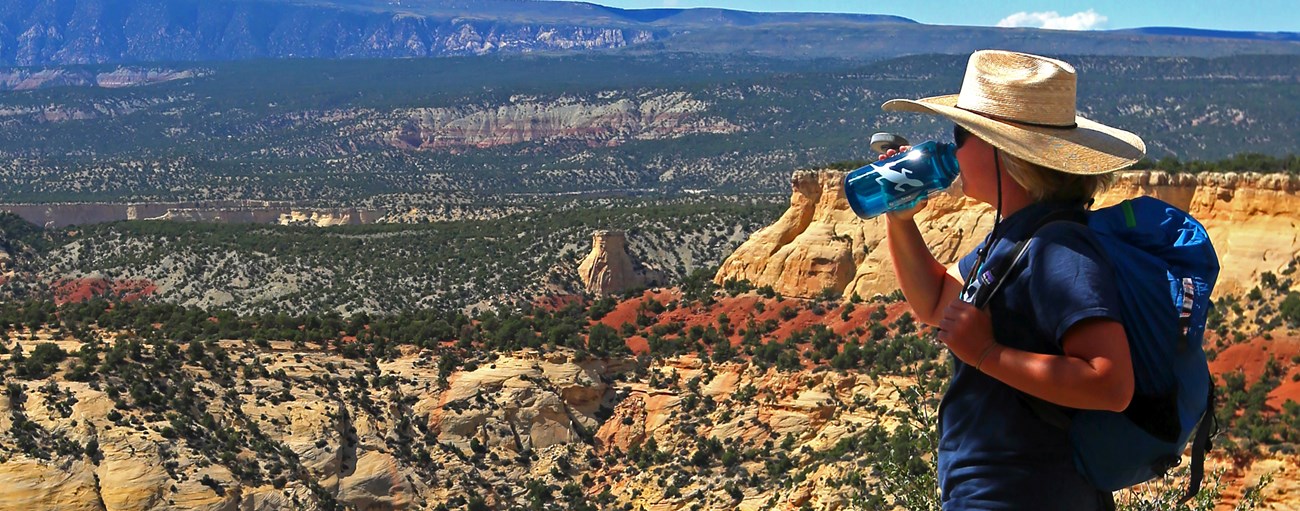 A woman drinks water from a water bottle with colorful rock layers in the distance