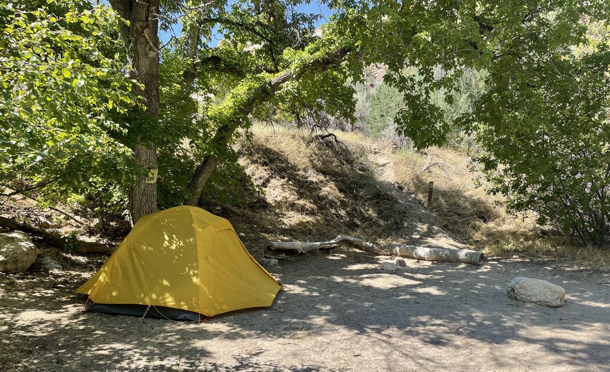 A yellow tent sits in a shaded area at the Ely Creek Backcountry Campsite.