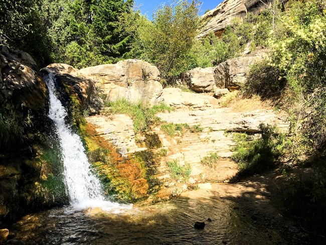 A small waterfall cascades over rocks into a pool at Ely Creek.