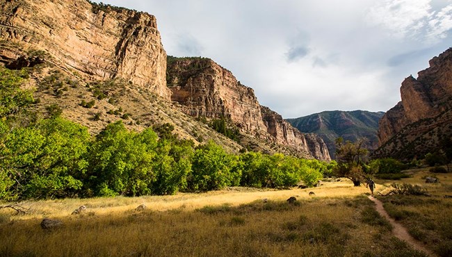 Person walking on trail through grassy field bordered by tall golden colored cliffs.