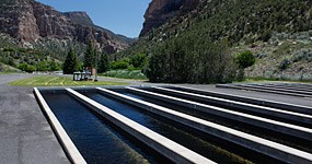 Jones Hole Fish Hatchery