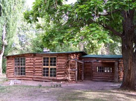 Log cabin and large tree.