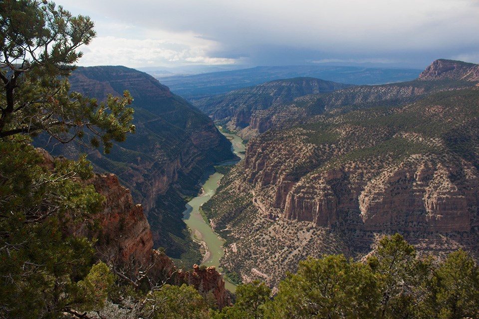 River flowing through deep canyon